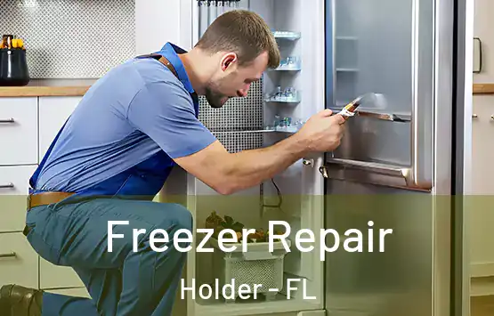  Freezer Repair Holder - FL