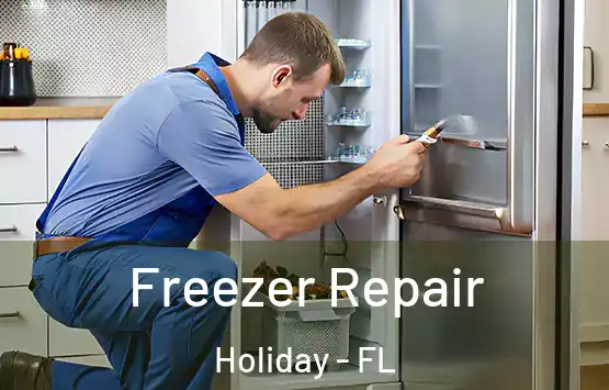  Freezer Repair Holiday - FL