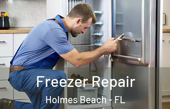  Freezer Repair Holmes Beach - FL