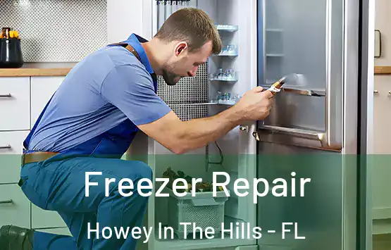  Freezer Repair Howey In The Hills - FL