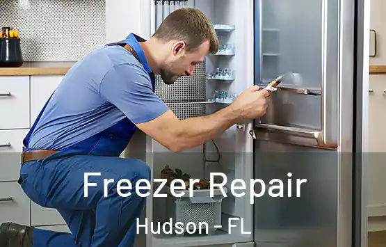  Freezer Repair Hudson - FL
