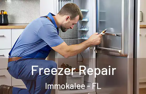  Freezer Repair Immokalee - FL