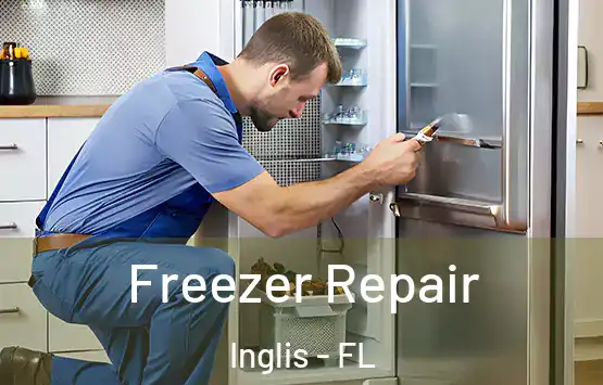 Freezer Repair Inglis - FL