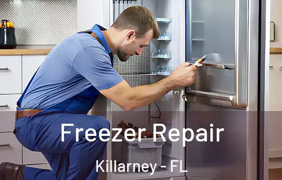  Freezer Repair Killarney - FL