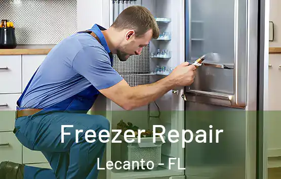  Freezer Repair Lecanto - FL