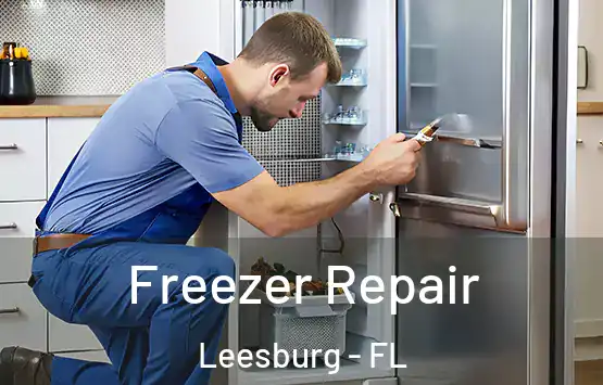  Freezer Repair Leesburg - FL