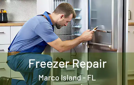  Freezer Repair Marco Island - FL