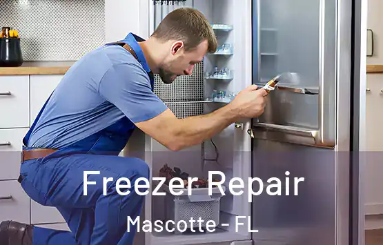  Freezer Repair Mascotte - FL