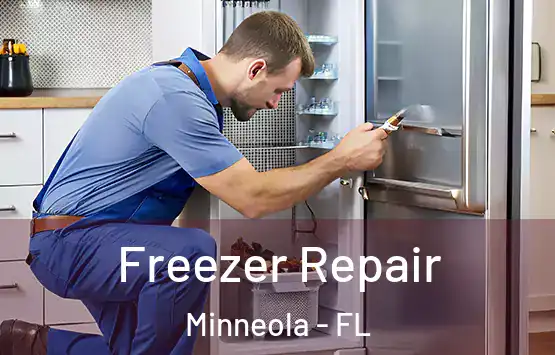  Freezer Repair Minneola - FL