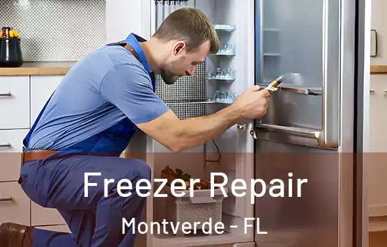  Freezer Repair Montverde - FL