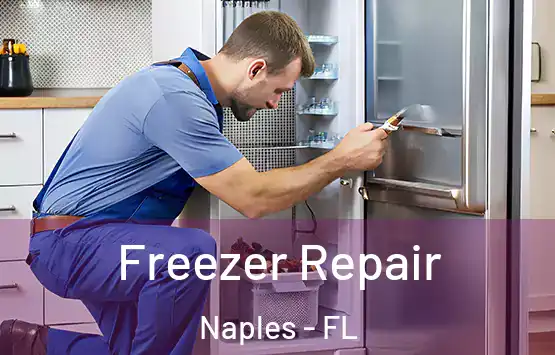  Freezer Repair Naples - FL