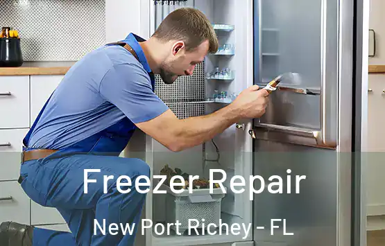  Freezer Repair New Port Richey - FL