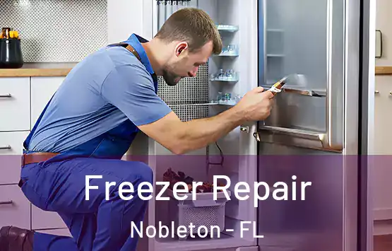  Freezer Repair Nobleton - FL
