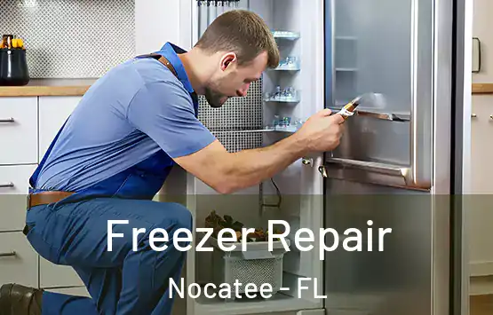  Freezer Repair Nocatee - FL