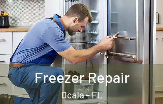  Freezer Repair Ocala - FL
