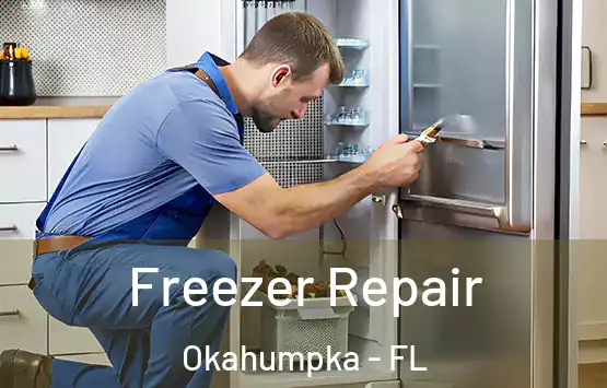  Freezer Repair Okahumpka - FL