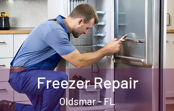  Freezer Repair Oldsmar - FL