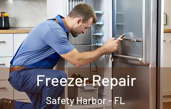  Freezer Repair Safety Harbor - FL