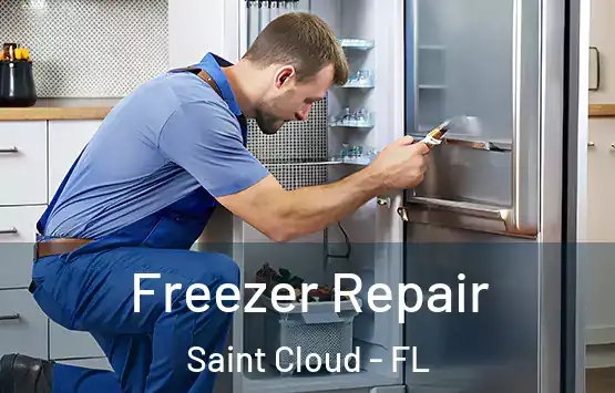  Freezer Repair Saint Cloud - FL