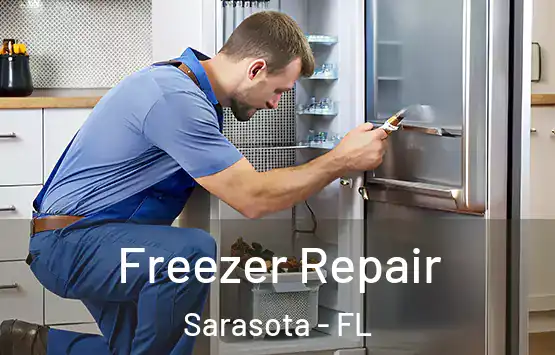  Freezer Repair Sarasota - FL