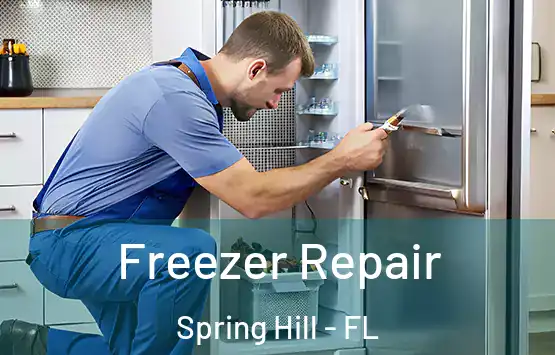  Freezer Repair Spring Hill - FL