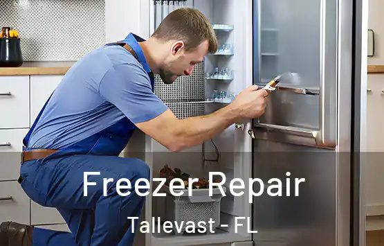  Freezer Repair Tallevast - FL