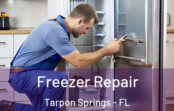  Freezer Repair Tarpon Springs - FL