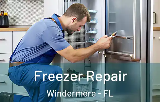  Freezer Repair Windermere - FL