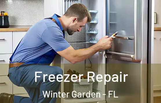 Freezer Repair Winter Garden - FL