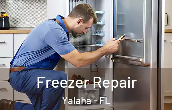  Freezer Repair Yalaha - FL