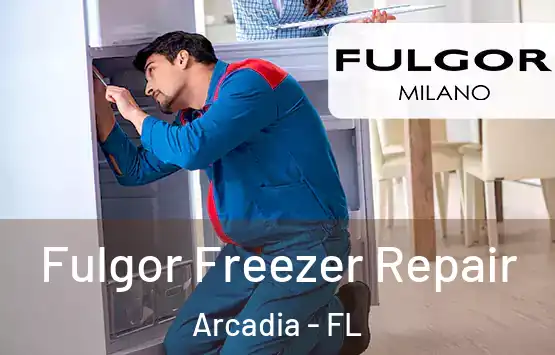  Fulgor Freezer Repair Arcadia - FL