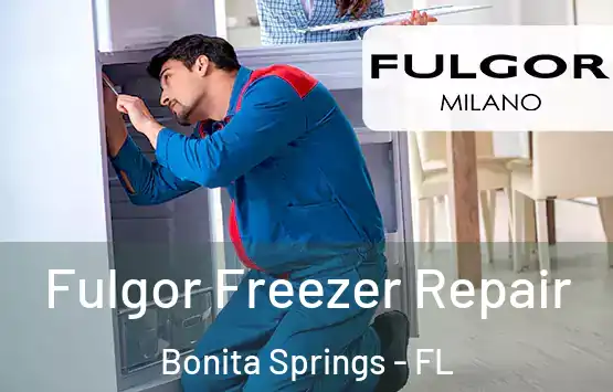  Fulgor Freezer Repair Bonita Springs - FL