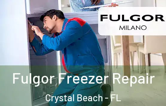  Fulgor Freezer Repair Crystal Beach - FL