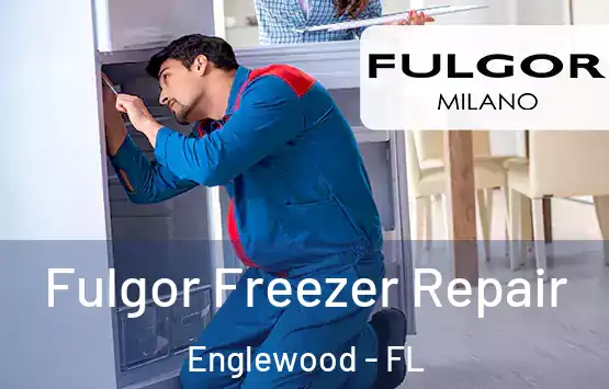  Fulgor Freezer Repair Englewood - FL