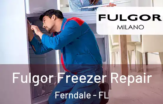  Fulgor Freezer Repair Ferndale - FL