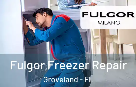  Fulgor Freezer Repair Groveland - FL