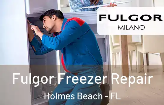  Fulgor Freezer Repair Holmes Beach - FL