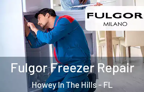  Fulgor Freezer Repair Howey In The Hills - FL