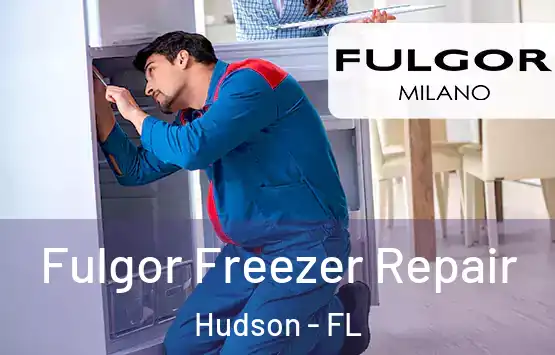  Fulgor Freezer Repair Hudson - FL