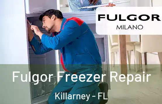  Fulgor Freezer Repair Killarney - FL