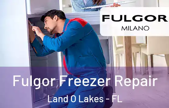  Fulgor Freezer Repair Land O Lakes - FL