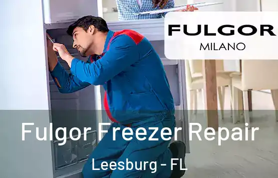  Fulgor Freezer Repair Leesburg - FL