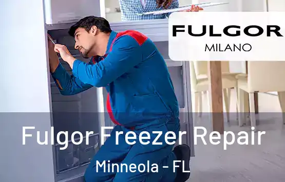  Fulgor Freezer Repair Minneola - FL