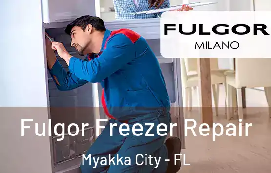  Fulgor Freezer Repair Myakka City - FL