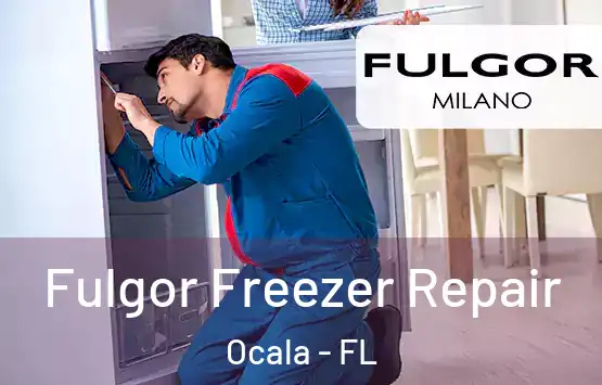  Fulgor Freezer Repair Ocala - FL
