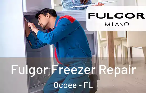  Fulgor Freezer Repair Ocoee - FL