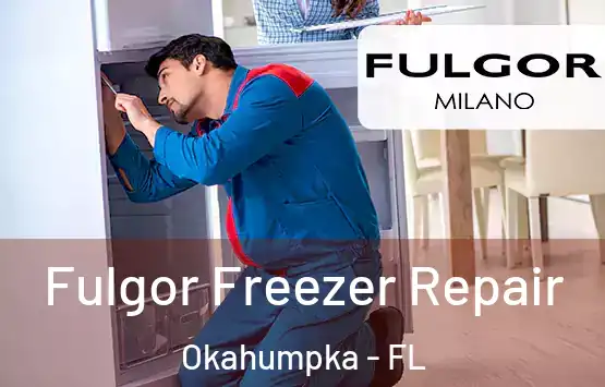  Fulgor Freezer Repair Okahumpka - FL