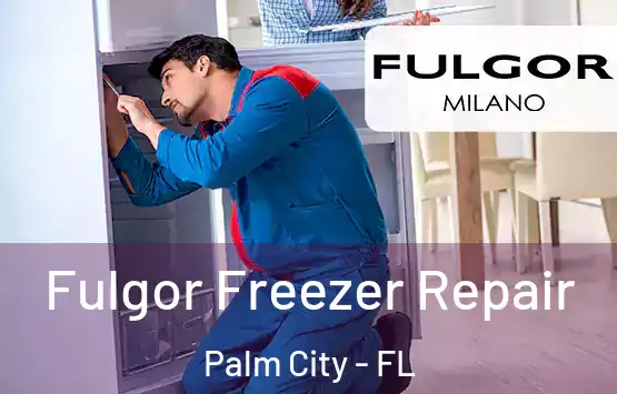  Fulgor Freezer Repair Palm City - FL