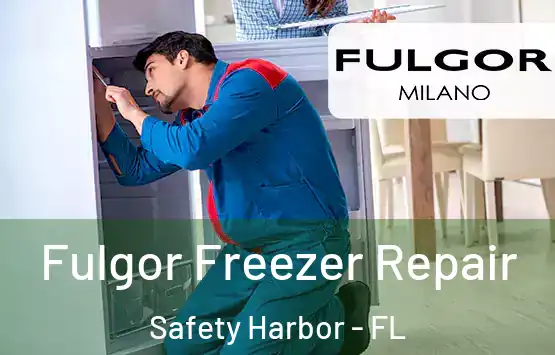  Fulgor Freezer Repair Safety Harbor - FL