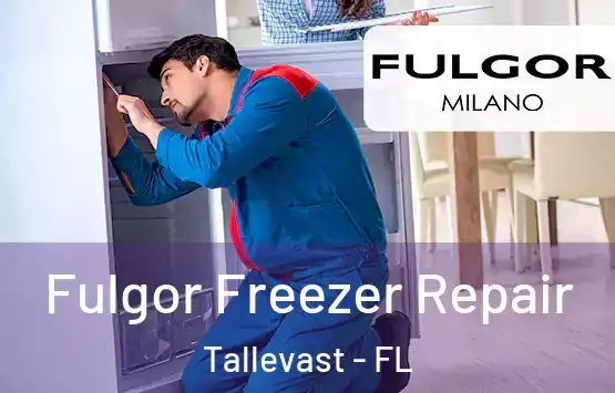  Fulgor Freezer Repair Tallevast - FL